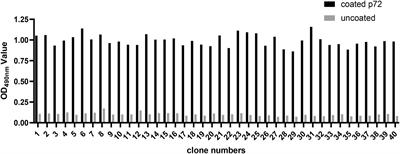 Identification and characterization of nanobodies specifically against African swine fever virus major capsid protein p72